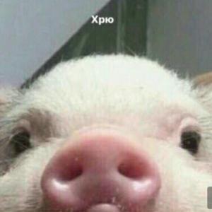 Вука 1 33 7